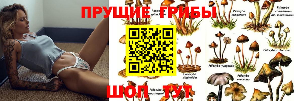Псилоцибиновые грибы прущие грибы  что такое   Коркино  Вход с VPN 